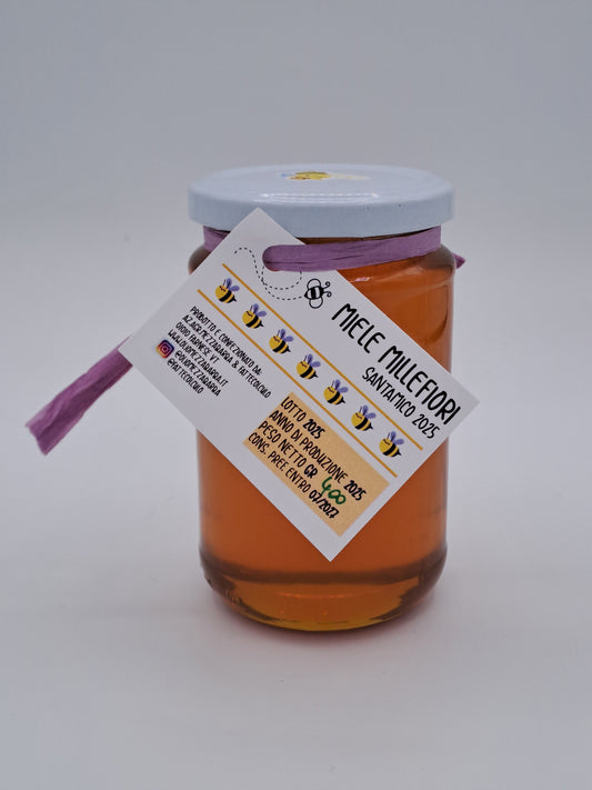 Miele millefiori Santamico NOSTRA PRODUZIONE 400 gr