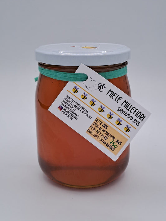 Miele millefiori Santamico NOSTRA PRODUZIONE 750 gr