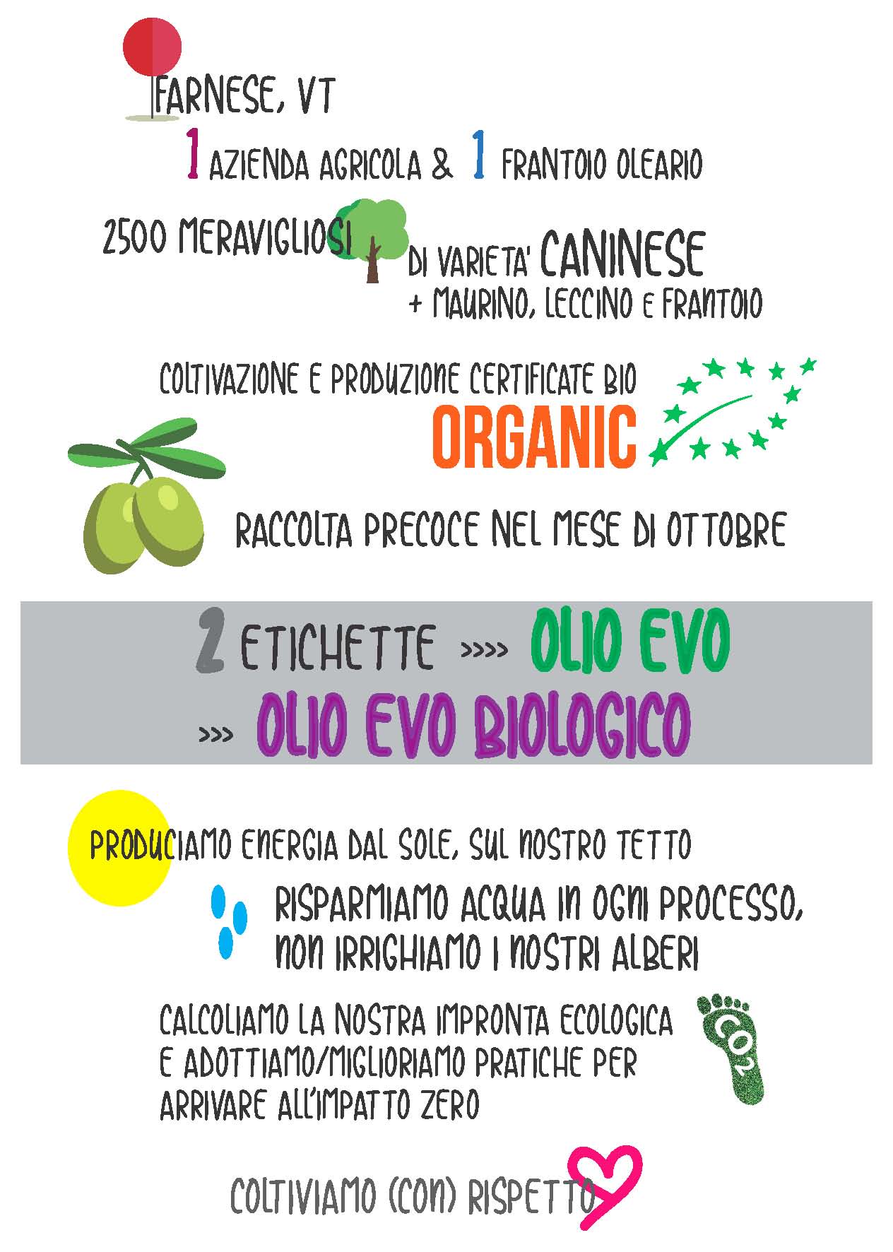 Lattina 1 l olio extravergine di oliva
